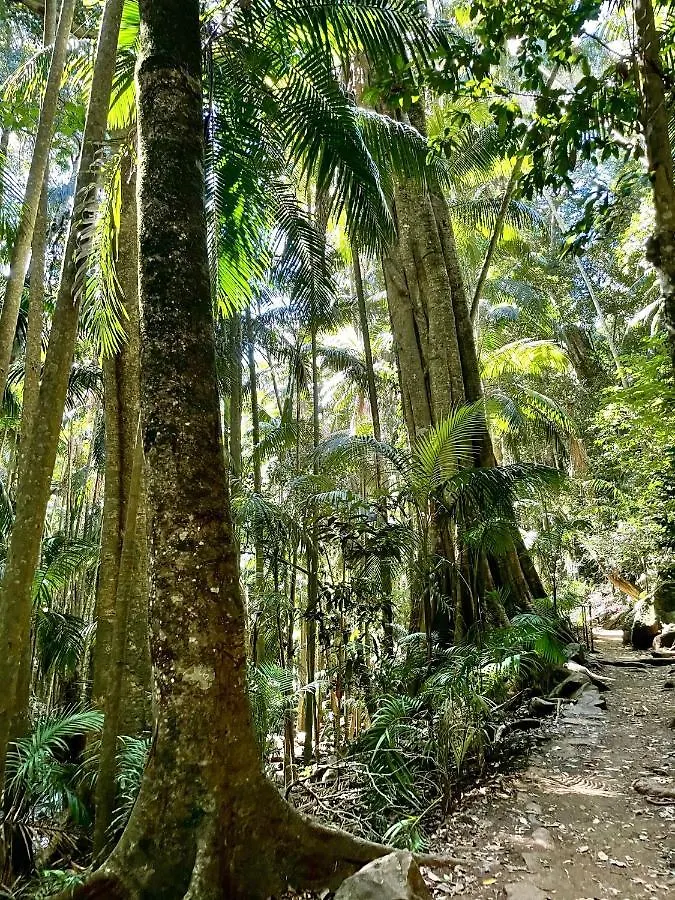 Mountain Studio Escape Mount Tamborine Lägenhet